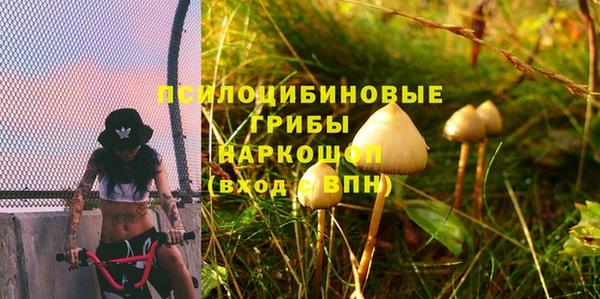 крисы Волоколамск